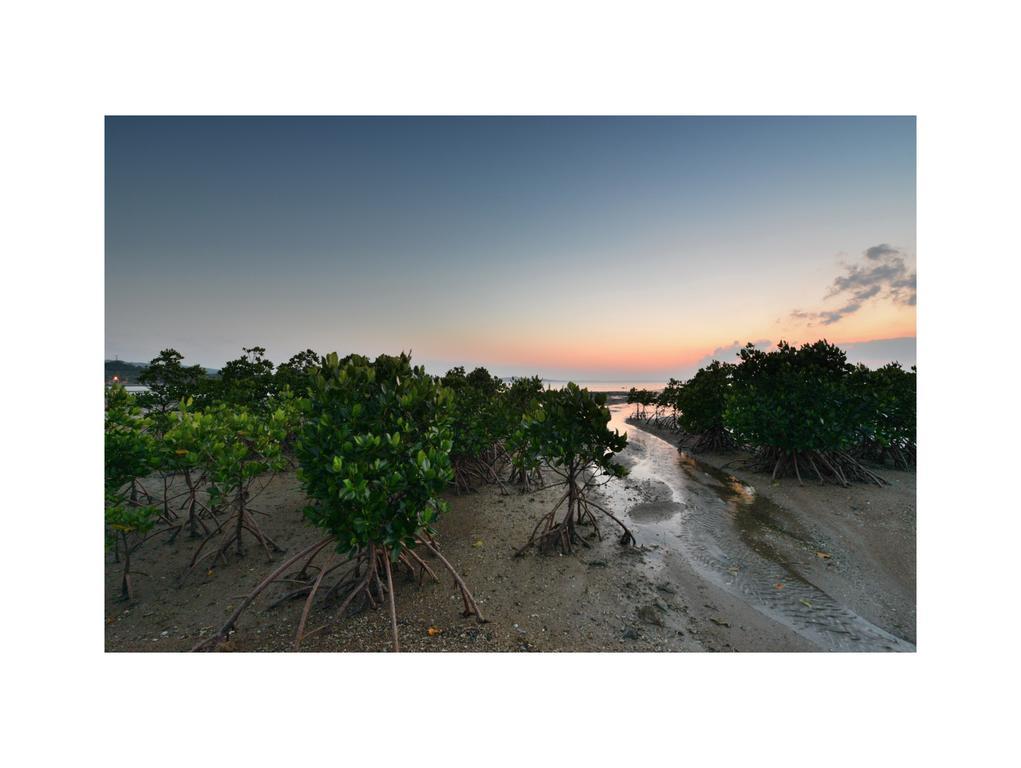 Hotel Oceanview Yui Ishigaki  Zewnętrze zdjęcie